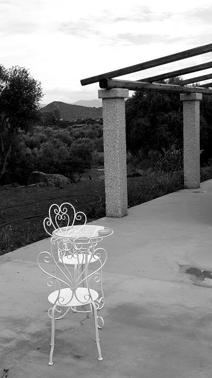 Bed and Breakfast Nacchinono Olbia Exterior foto